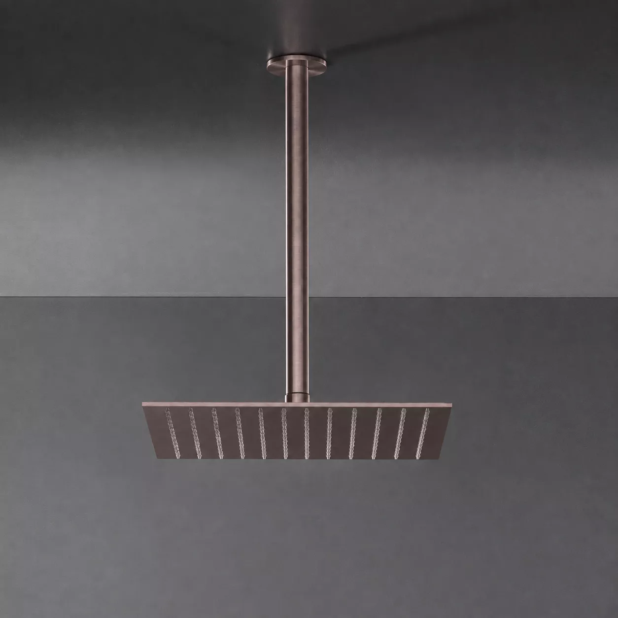 cea FRE 32 quadratische Kopfbrause, slim, 300x300mm, bronze satiniert - FRE32ZS