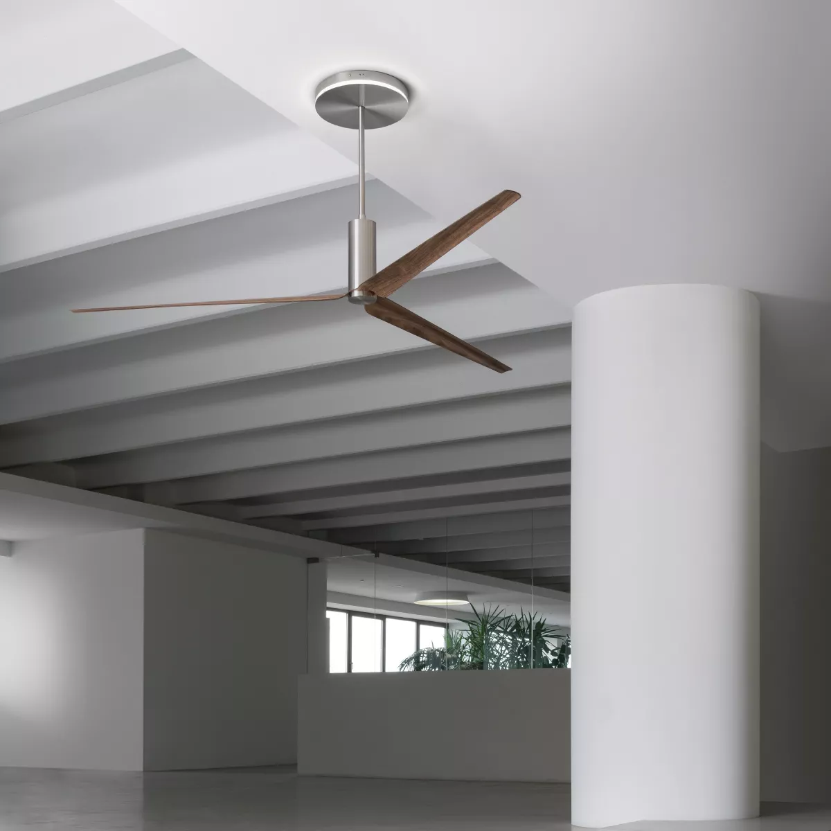 cea ARC08 Deckenventilator mit LED Beleuchtung und Fernbedienung, Durchmesser: 1400mm, Blätter aus Canaletto Nussbaum und Kohlefaser, edelstahl satiniert-ARC08NS