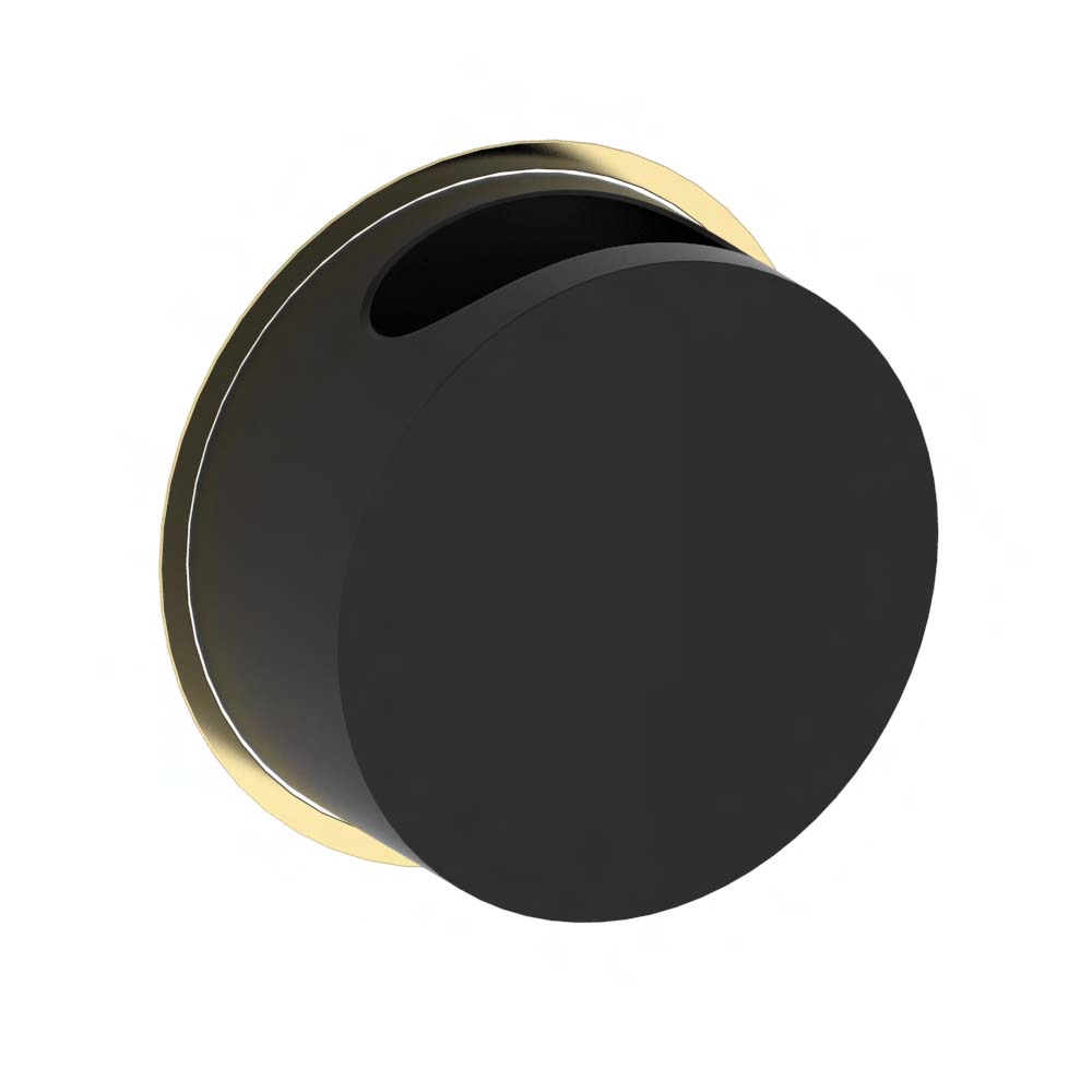 vola RS3/B Aufputz-Abfallbehälter 8 Liter ohne Deckel, Durchmesser:380mm, offener Festbehälter, schwarz/messing poliert-RS3/B-19