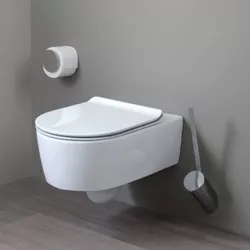 FLAMINIA